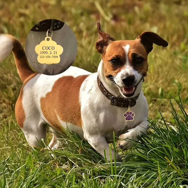 Personalized Dog & Cat Name Ta - огляд і ціна Phone Accessories And Names
